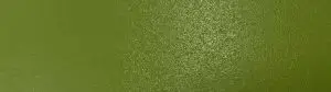 2590-pvc-300x84