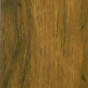 5173