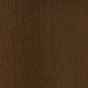 וונגה